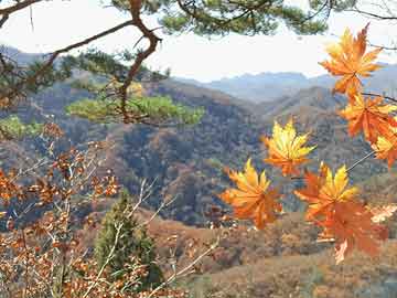 热点 第43页