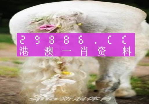 澳门一肖一码一必中一肖同舟前进-2026年解答解释落实